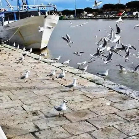 Con Giardino شقة بيسكارا