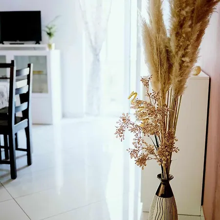 Con Giardino * Pescara