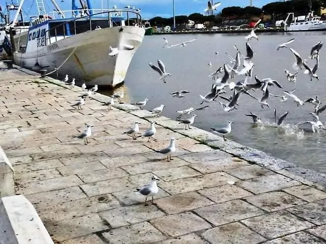 Con Giardino Lägenhet Pescara