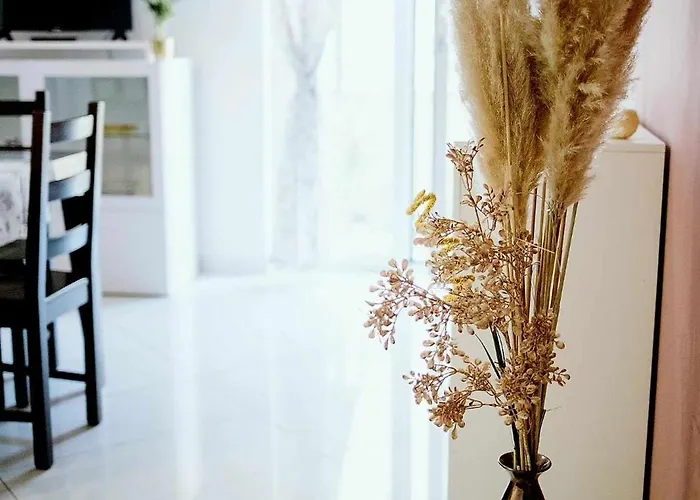 Con Giardino * بيسكارا