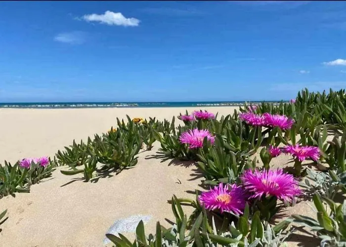 شقة Con Giardino بيسكارا